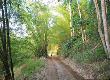 trinidad-and-tobago/argyle-waterfall/attraction/concordia-estate-tobago