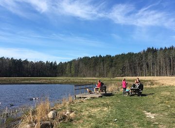 sweden/norrkoping/attraction/vrinneviskogen