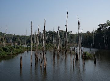 laos/khammouane-province/attraction/flooded-forest-viewpoint