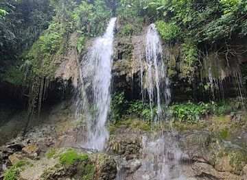 puerto-rico/camuy-river-cave-park/attraction/el-saltillo-el-salto-del-novillo