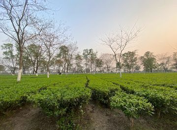 bangladesh/eastern-bengal/attraction/no-mans-land-bangladesh-india