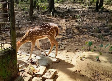 bangladesh/sylhet-division/attraction/zoo