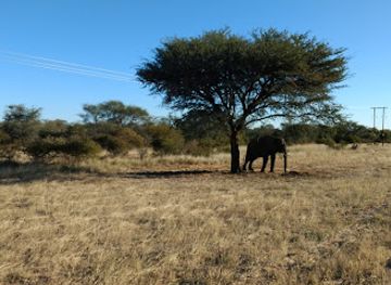 south-africa/kgalagadi-transfrontier-park/attraction/makgadikgadi-pans-national-park