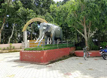 Wildlife Display & Information Center