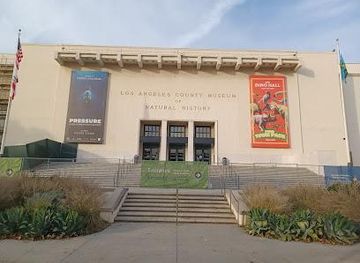 california/hollywood/attraction/natural-history-museum-of-los-angeles-county