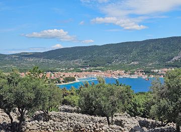croatia/kvarner/attraction/olive-groves