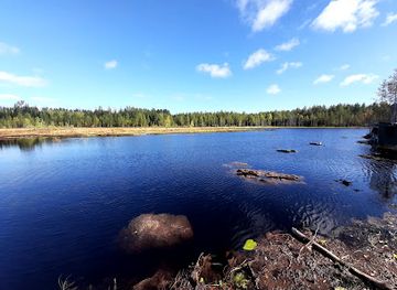 finland/kainuu/attraction/boreal-wildlife-center-photography-and-observation-of-animals