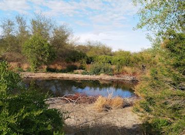 texas/red-river-valley/attraction/rio-bosque-park