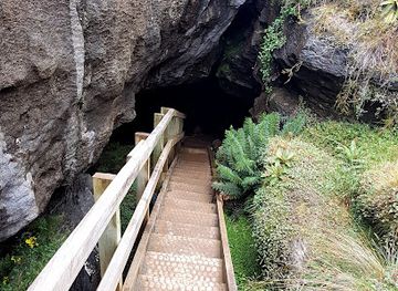 new-zealand/fiordland-national-park/attraction/luxmore-cave