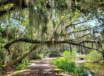 florida/amelia-island/attraction/egan-s-creek-greenway-trail