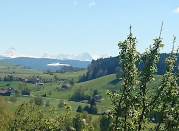 switzerland/emmental/attraction/sensorium