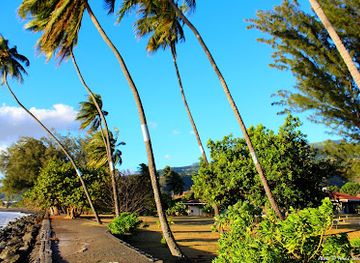 french-polynesia/tetiaroa/attraction/museum-of-tahiti-and-the-islands