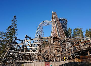 sweden/norrkoping/attraction/wildfire