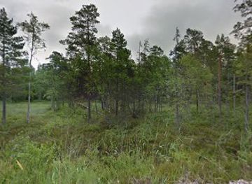 estonia/hiiumaa-island/attraction/geographical-center-of-europe