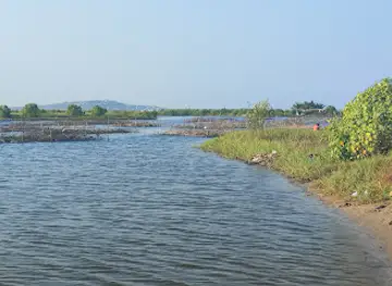 Densu Delta Protected Area