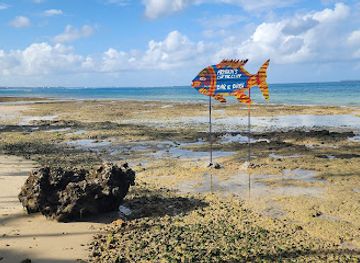 tanzania/zanzibar-archipelago/attraction/selem-beach