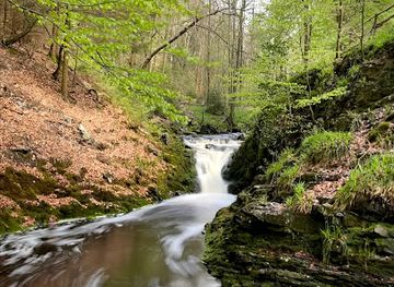 belgium/hautes-fagnes/attraction/cascade-leopold-ii