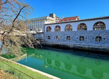 slovenia/postojna/attraction/petkovskovo-nabrezje