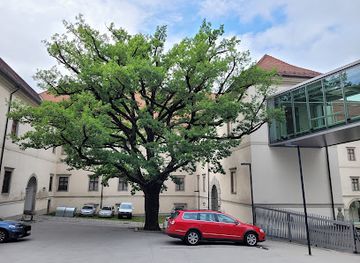 austria/linz/attraction/kaisereiche-schlossberg