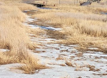 finland/porvoo/attraction/sikosaari-bird-watching-tower