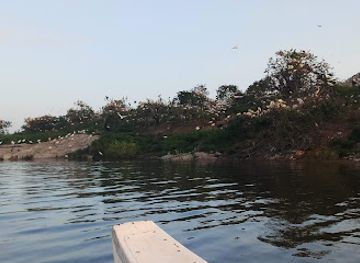 sri-lanka/polonnaruwa/attraction/kok-doowa