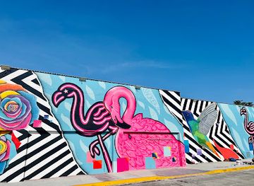 florida/fort-lauderdale/attraction/mural-graffit-art-shoker-art1