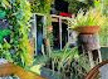 aruba/natural-pool/attraction/drunken-burger