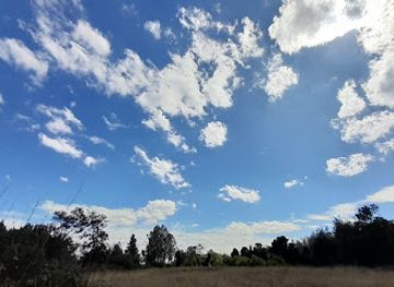 chile/temuco/attraction/el-dorado