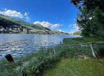 switzerland/engadin/attraction/holzbrucke