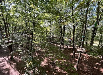 albania/tirana/mount-dajti-national-park/attraction/adventure-park