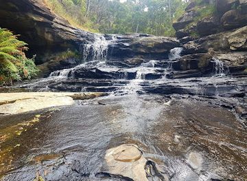 australia/great-ocean-road/attraction/swallow-cave