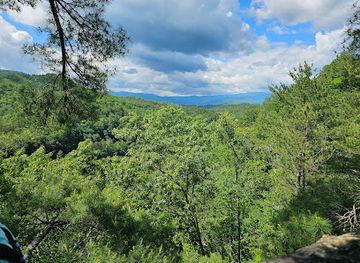 north-carolina/nantahala-national-forest/attraction/wildwater-nantahala-gorge-canopy-tour