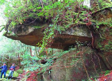 japan/yakushima/attraction/tsujinoiwaya