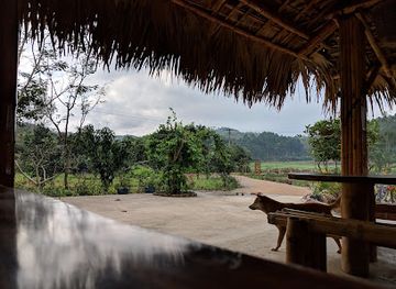 vietnam/north-central-coast/attraction/the-duck-stop