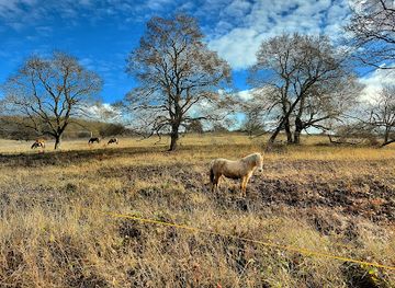 hungary/duna-ipoly-national-park/attraction/torokmezo-animal-park