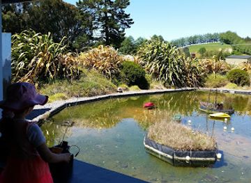 new-zealand/taupo/attraction/mind-junction-activity-park