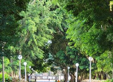 australia/sydney/attraction/hyde-park