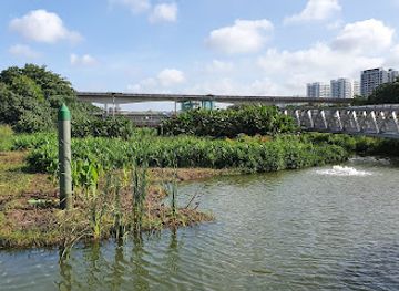 singapore/coney-island/attraction/sengkang-riverside-park