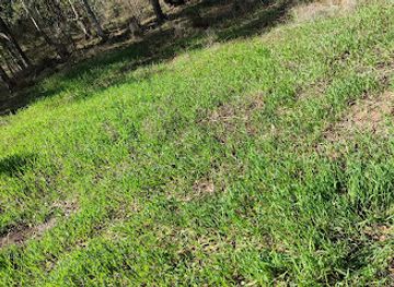 israel/netanya/attraction/harshat-hasarganim