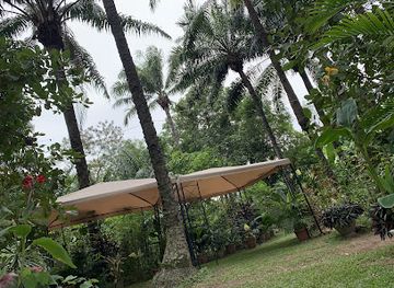 nigeria/erin-ijesha-waterfall/attraction/asha-botanical-garden