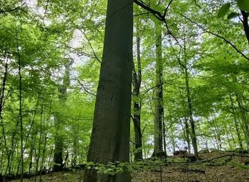 germany/pomerania/attraction/heilige-hallen