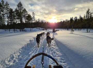 sweden/swedish-lapland/attraction/aurora-borealis-adventures