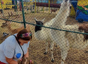 bosnia-and-herzegovina/eastern-bosnia/attraction/zoo-bambi