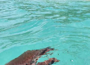 jamaica/negril/attraction/longbay-beach-negril