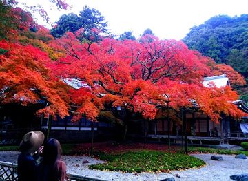 japan/kai/attraction/raizansennyoji-taihioin