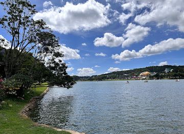 vietnam/dalat/xuan-huong-lake/attraction/duck-ducking-beach-xuan-huong-lake