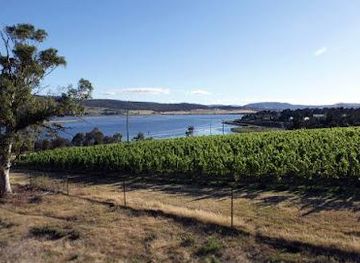 australia/hobart/attraction/derwent-estate-vineyard