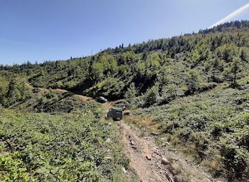 romania/bihor-mountains/attraction/avenul-din-hoanca-urzicarului