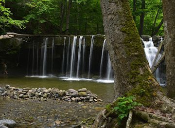 new-york/finger-lakes/attraction/great-gully