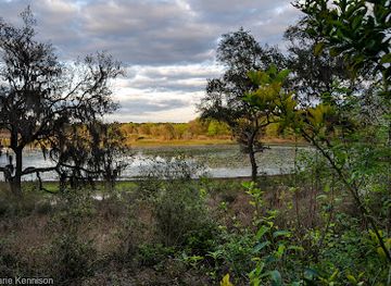 florida/santa-fe-river/attraction/mike-roess-gold-head-branch-state-park